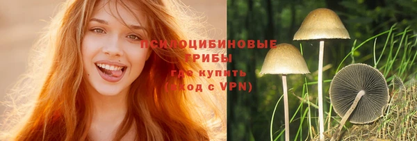 прущая мука Вяземский