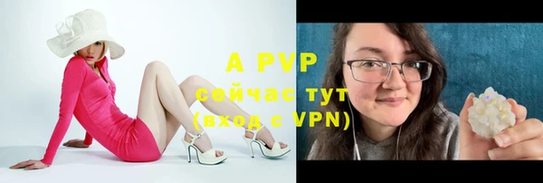 прущая мука Вяземский