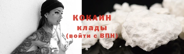 прущая мука Вяземский