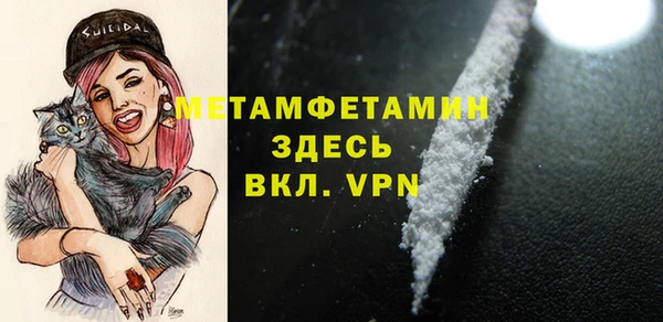 прущая мука Вяземский