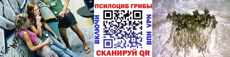 Псилоцибиновые грибы мицелий  закладки  MEGA ссылки  Борисоглебск 