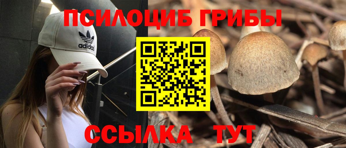 Галлюциногенные грибы MAGIC MUSHROOMS Борисоглебск