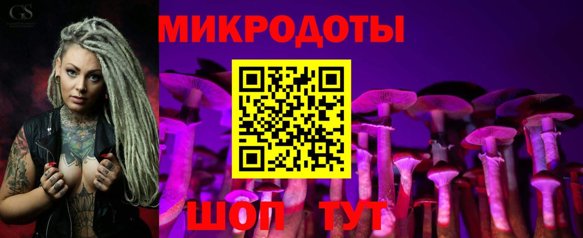 Борисоглебск  Галлюциногенные грибы Psilocybe  Вход с VPN 