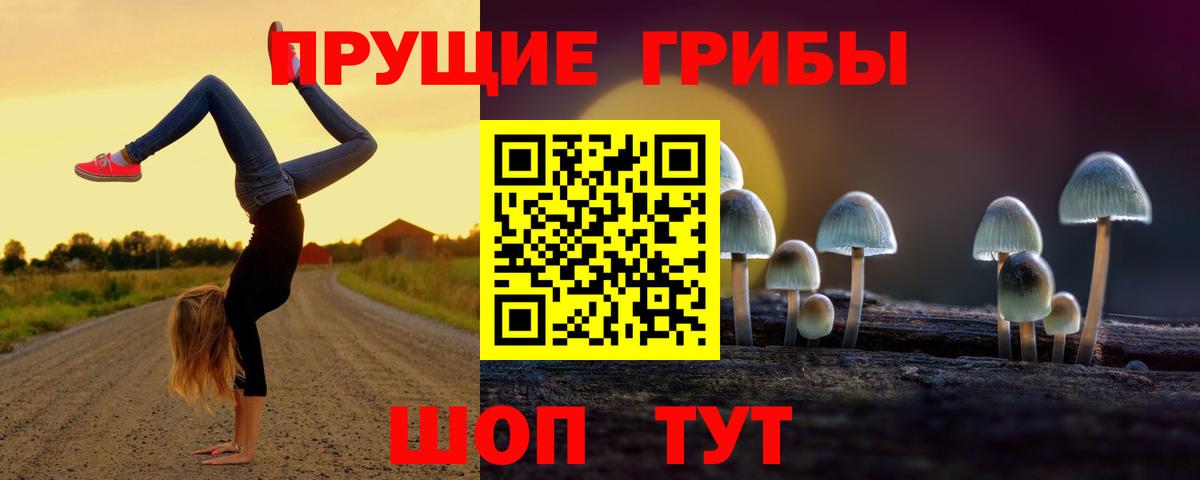 Галлюциногенные грибы Magic Shrooms  Псилоцибиновые грибы мухоморы  дарнет шоп  Борисоглебск 